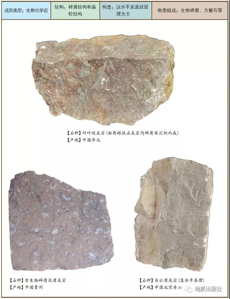 6 石灰?guī)r1.jpg