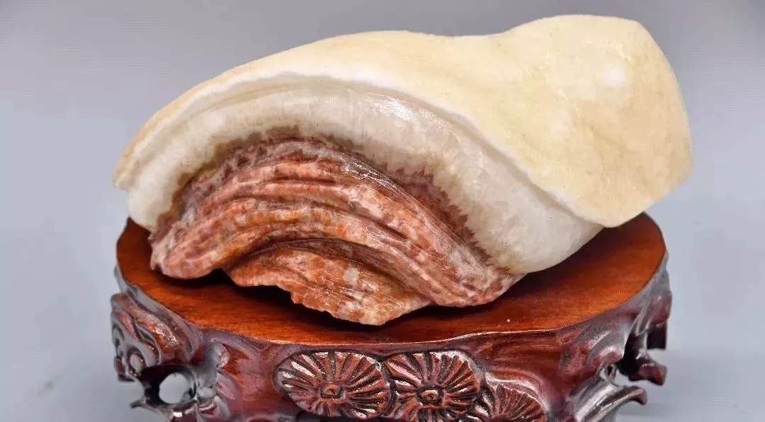 1549848219605560.jpg 肉形石1.webp.jpg