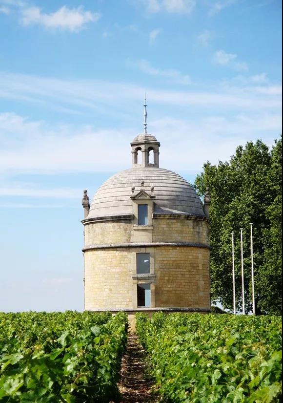 1562460924648031.jpg 66.jpg