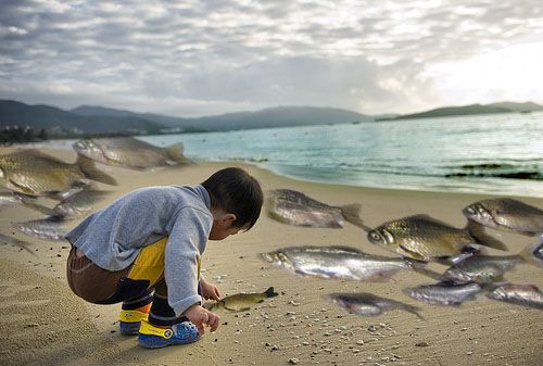 1582609527574917.jpg 4.jpg