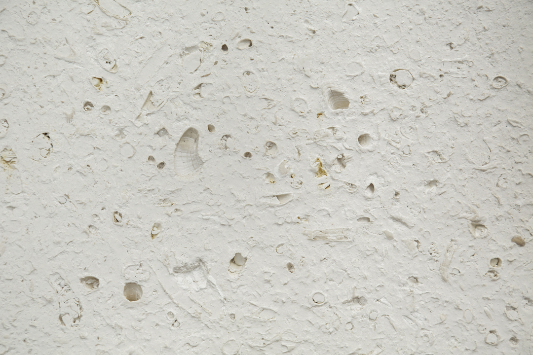 1620295267761404.jpg 21.jpg