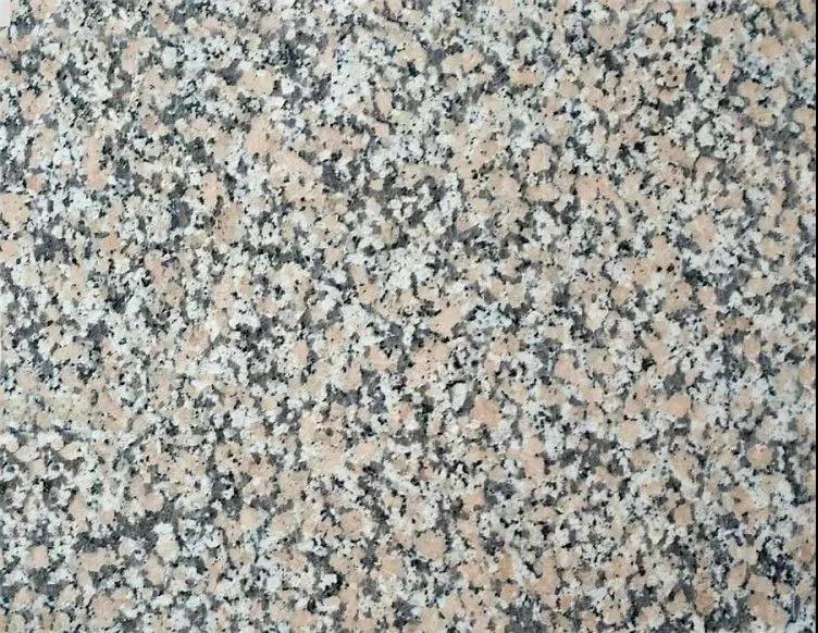 1641192550144667.jpg 14.jpg